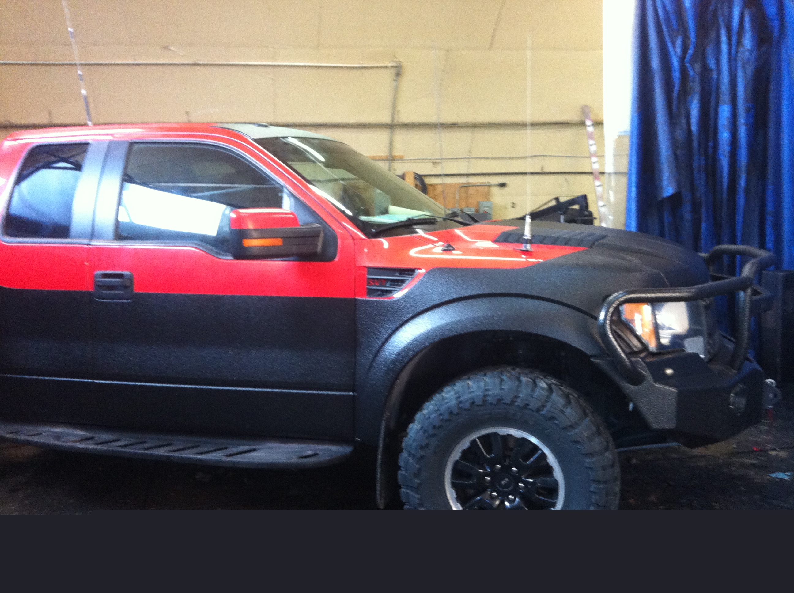 raptor1.JPG